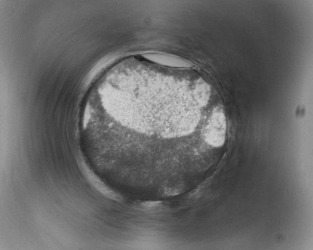 X0000112010054200909141136