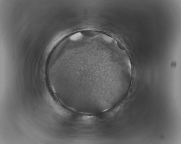 X0000112010055200909141136