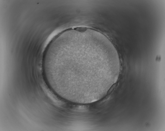 X0000112010056200909141136