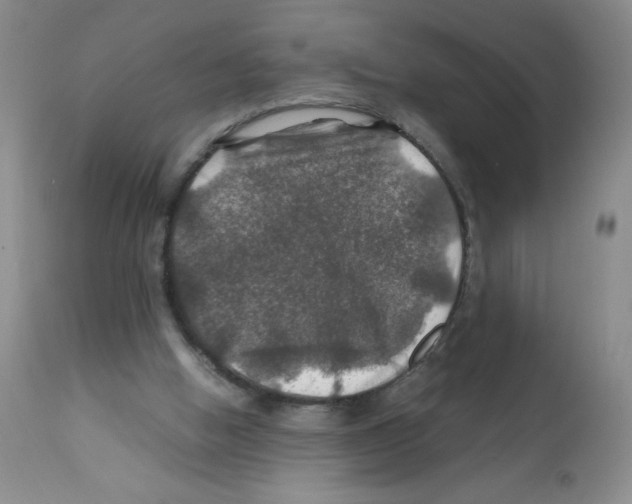 X0000112010058200909141136