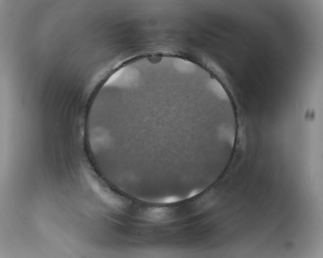 X0000112010059200909141136