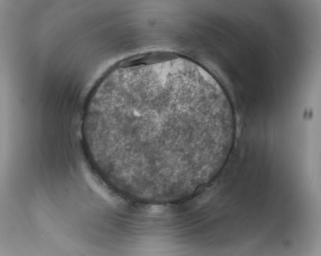 X0000112010060200909141136