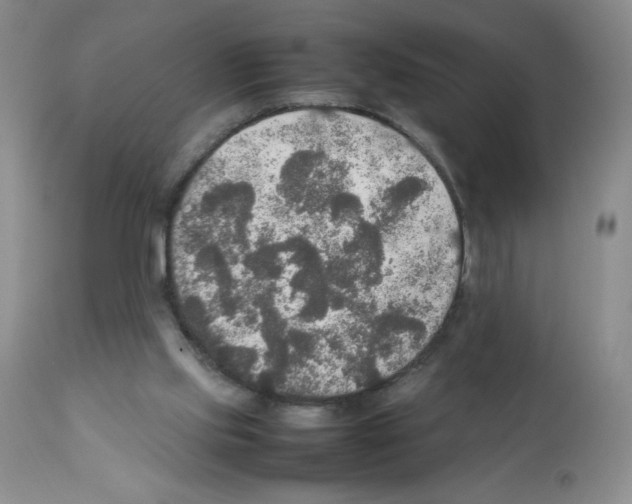 X0000112010061200909141136