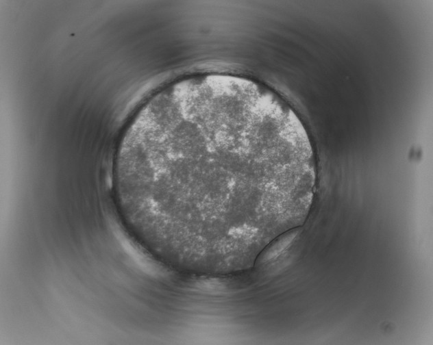X0000112010062200909141136