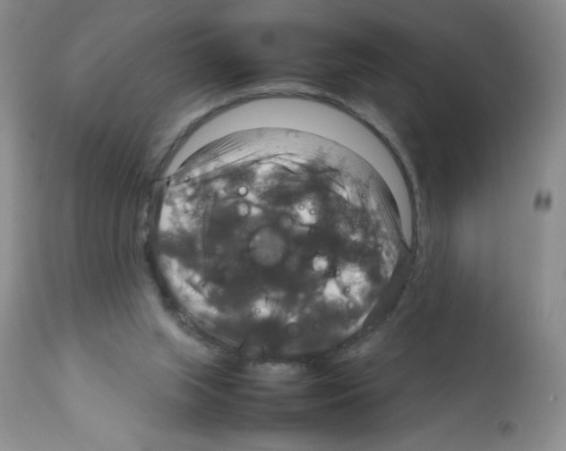 X0000112010063200909141136