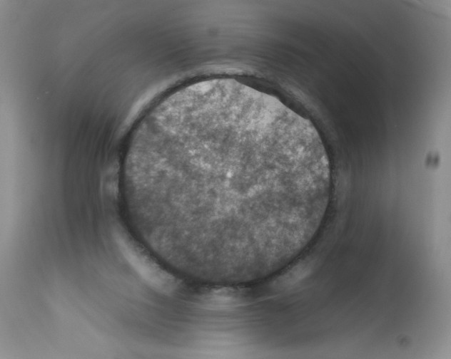 X0000112010064200909141136