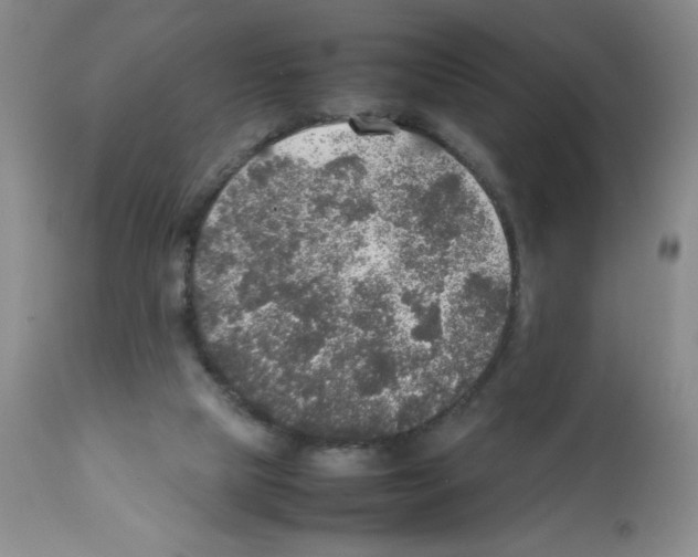 X0000112010065200909141136