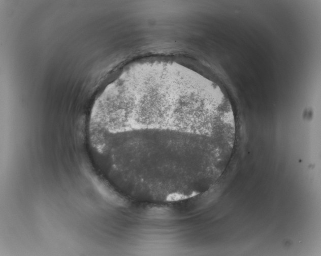 X0000112010066200909141136