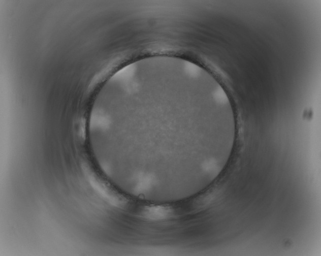 X0000112010067200909141136