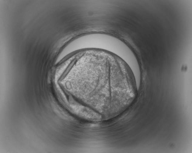 X0000112010068200909141136