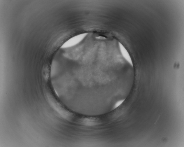 X0000112010069200909141136