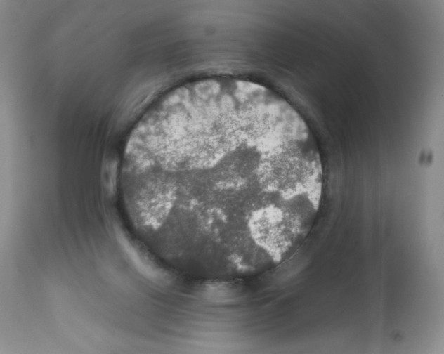 X0000112010070200909141136
