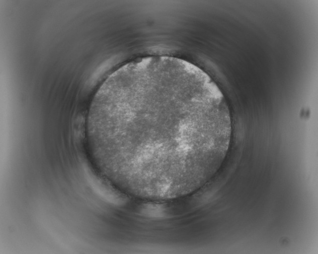 X0000112010071200909141136