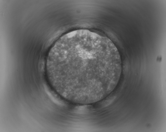 X0000112010072200909141136