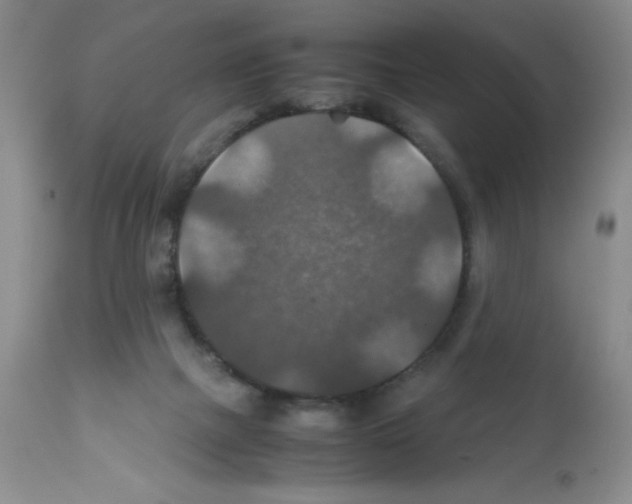 X0000112010073200909141136
