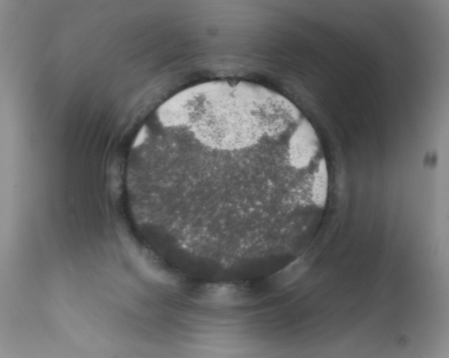 X0000112010074200909141136
