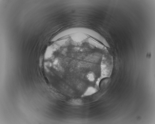 X0000112010075200909141136