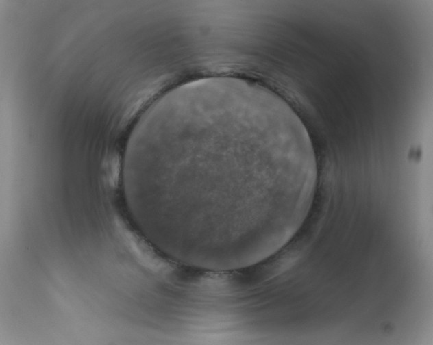 X0000112010076200909141136