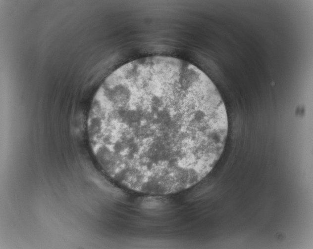 X0000112010077200909141136