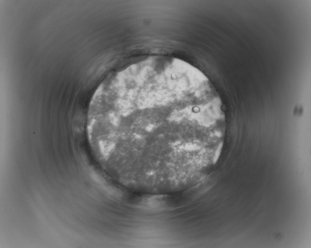 X0000112010078200909141136