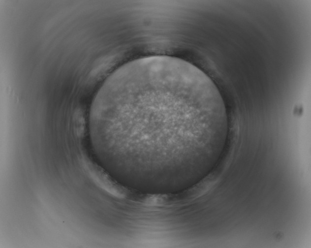 X0000112010080200909141136