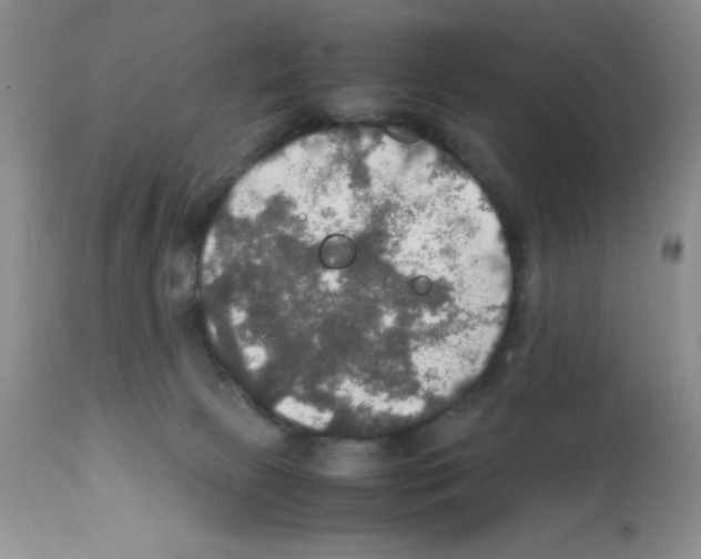 X0000112010081200909141136