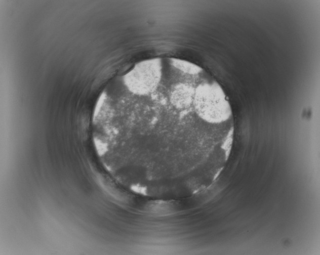 X0000112010082200909141136