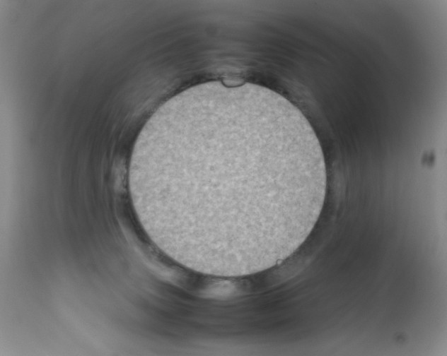 X0000112010083200909141136
