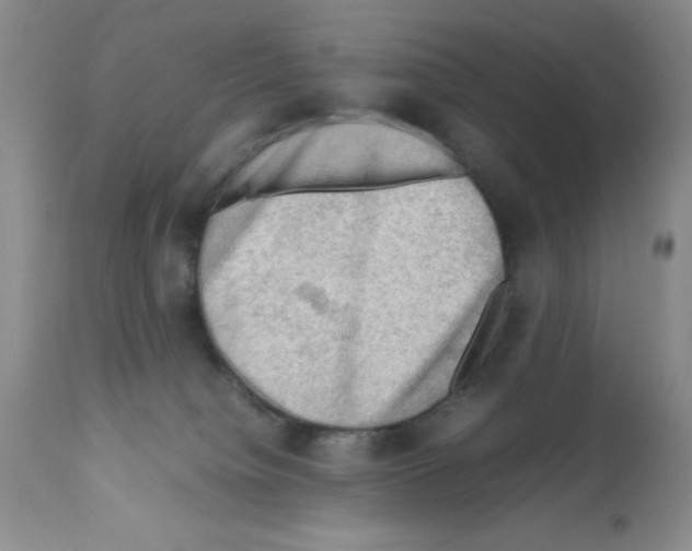 X0000112010084200909141136