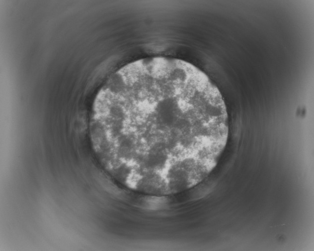 X0000112010085200909141136