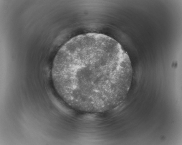 X0000112010086200909141136