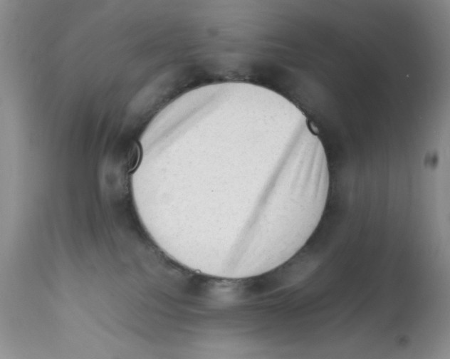 X0000112010088200909141136