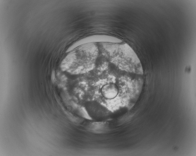 X0000112010089200909141136