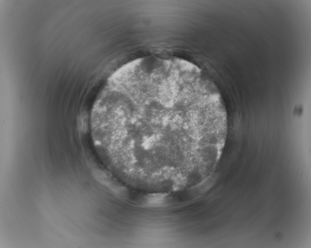 X0000112010090200909141136