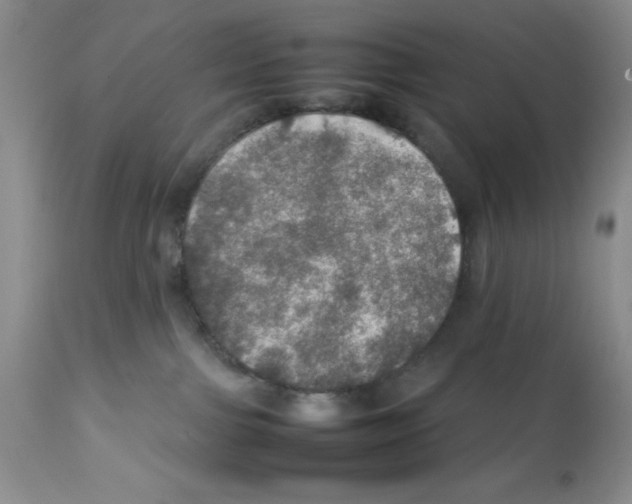 X0000112010091200909141136