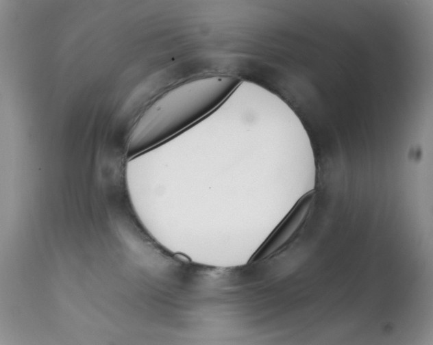 X0000112010092200909141136