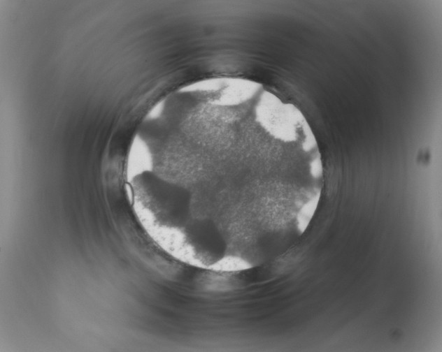 X0000112010093200909141136