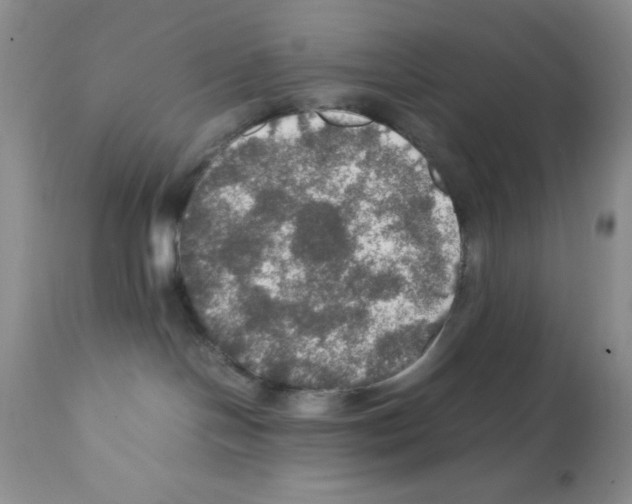 X0000112010094200909141136