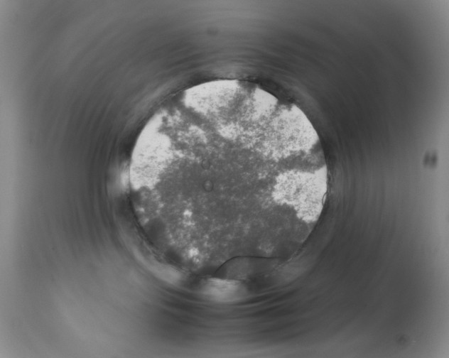 X0000112010095200909141136