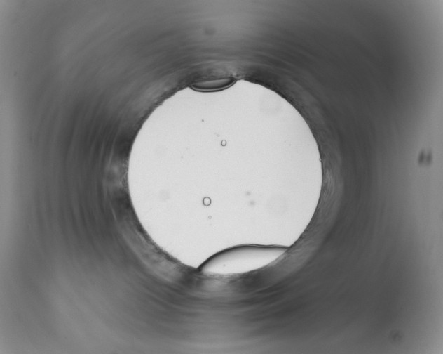 X0000112010096200909141136