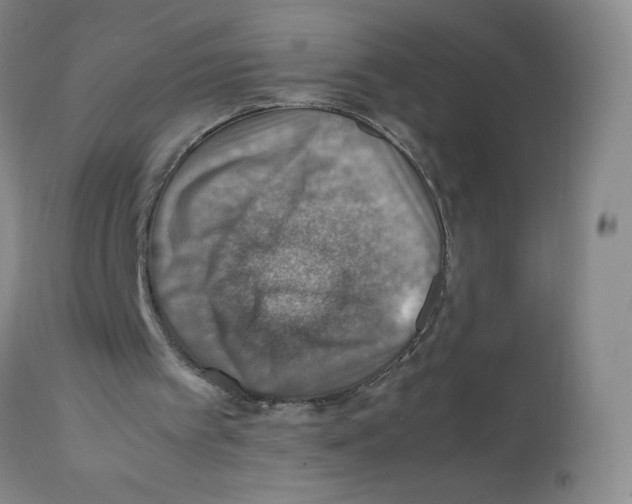 X0000112010097200909141136