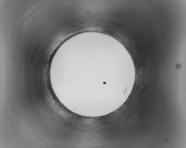 X0000112010098200909141136