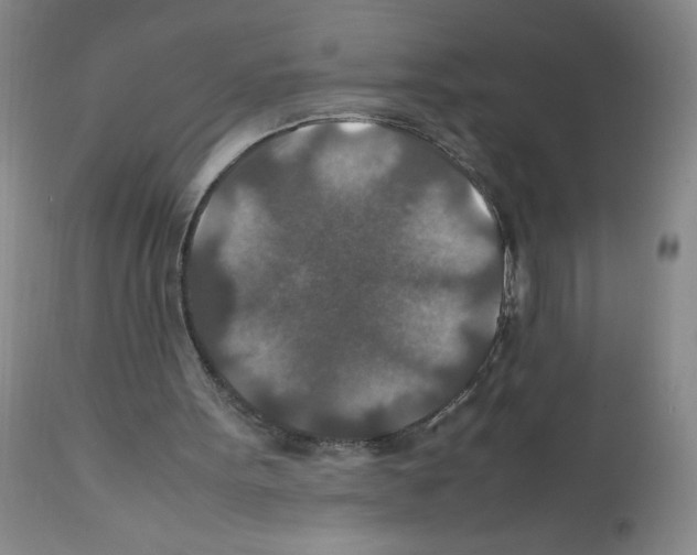 X0000112010099200909141136