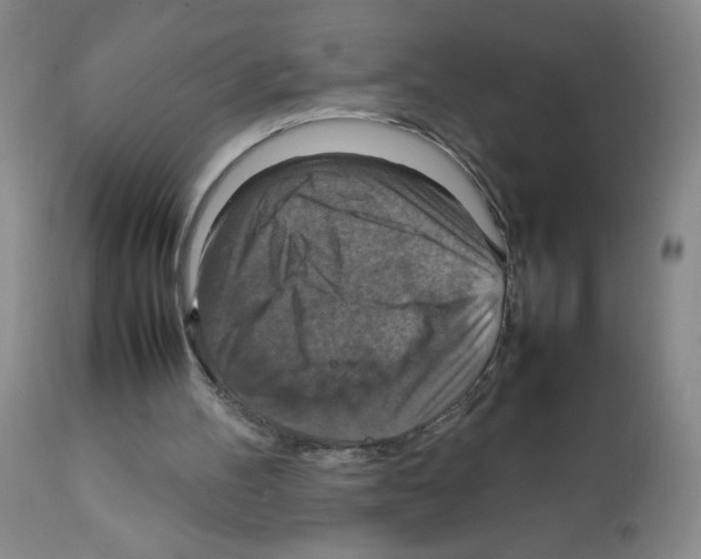 X0000112010100200909141136