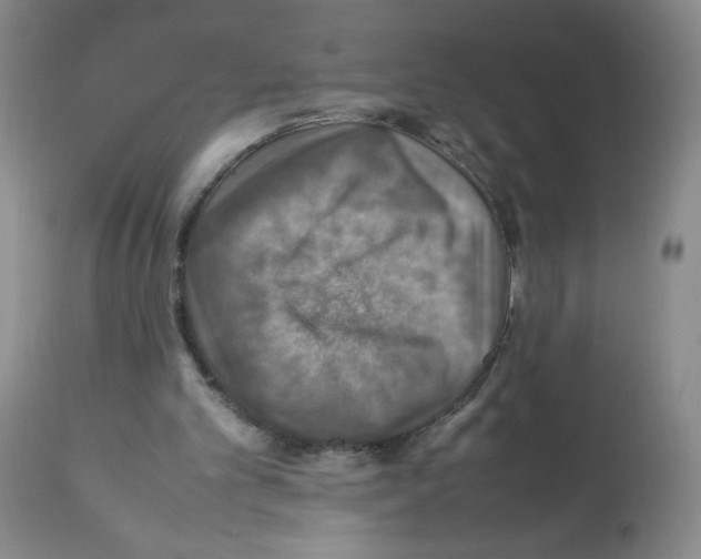 X0000112010101200909141135