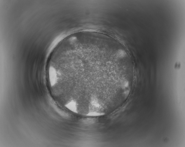 X0000112010102200909141135