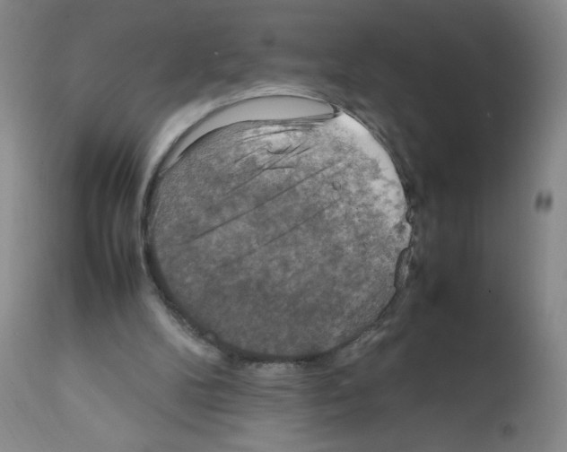 X0000112010104200909141135