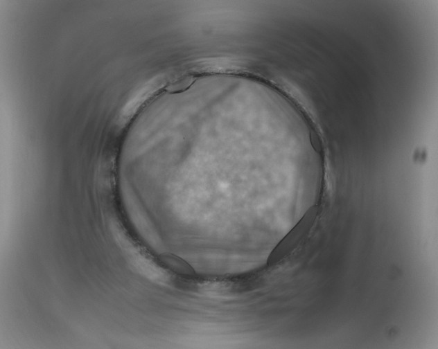 X0000112010105200909141135