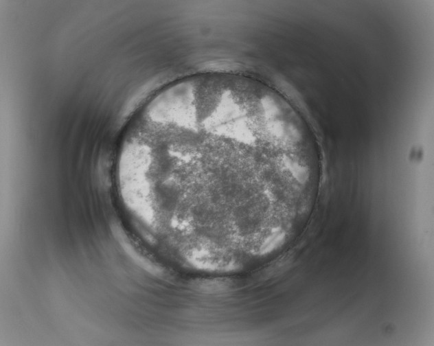 X0000112010106200909141135