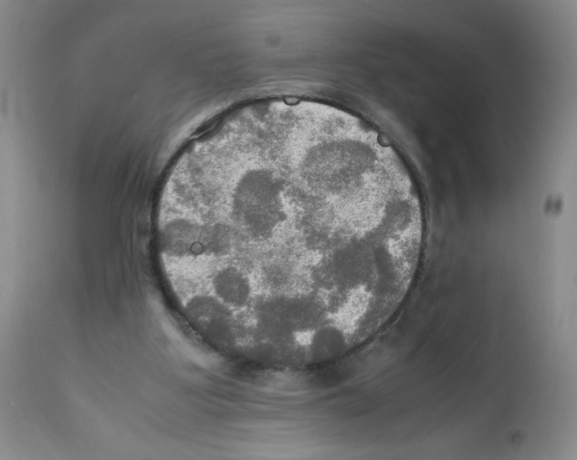 X0000112010107200909141135